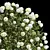 High-detail 3D Viburnum Bush 3D model small image 2