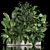 Exotic Plant Collection for Home Garden 3D model small image 1