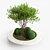 Versatile Concrete Planter - Besso 3D model small image 3