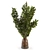  Branches in a Vase 018 3D model small image 5