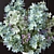 Wild Floral Bouquet Set 036 3D model small image 4