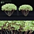 White Multi-Stem Cornus Alba 3D model small image 1