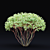 White Multi-Stem Cornus Alba 3D model small image 5