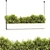 Optimal Quality Plant Collection 3D model small image 1