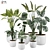  2015 Version 3D Plant Model 3D model small image 1