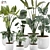  2015 Version 3D Plant Model 3D model small image 2