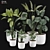  2015 Version 3D Plant Model 3D model small image 3