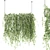 Premium Ivy Plant Collection 3D model small image 1