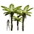 Title: Exquisite Alsophila Fern Collection 3D model small image 1