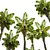 Title: Exquisite Alsophila Fern Collection 3D model small image 2