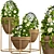Vibrant Indoor Plants in 3D 3D model small image 1