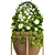 Vibrant Indoor Plants in 3D 3D model small image 2