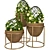 Vibrant Indoor Plants in 3D 3D model small image 3