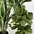 Premium Indoor Plant Collection Set 3D model small image 2