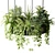 Ring Planter Lamp with Plants 3D model small image 2