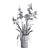 Orchid Indoor Plant Set Max 2013 3D model small image 10