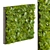 Volume 359 Vertical Leaf Palm 3D model small image 1