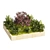Garden Border Plant Set, Polycharm 3D model small image 2