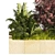 Garden Border Plant Set, Polycharm 3D model small image 4