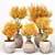 Indoor Plants 3D Model Collection 3D model small image 1