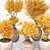  Indoor Plants 3D Model Collection 3D model small image 2