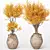  Indoor Plants 3D Model Collection 3D model small image 3