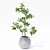 Optimized Indoor Plants 3D Models 3D model small image 1