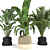 Tropical Plants 3D Model Pack 3D model small image 1