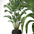 Tropical Plants 3D Model Pack 3D model small image 5
