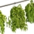 Modern Hanging Plant Collection 3D model small image 4