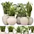 Indoor Plants 3D Model Collection 3D model small image 1