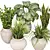 Indoor Plants 3D Model Collection 3D model small image 3