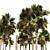 Low Poly Palmetto Trees Cluster 3D model small image 3