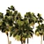 Low Poly Palmetto Trees Cluster 3D model small image 4