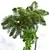Ancient Tree Fern 3D Model 3D model small image 3