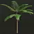 Sphaeropteris Lepifera 3D Fern Models 3D model small image 3