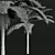 Sphaeropteris Lepifera 3D Fern Models 3D model small image 4