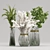 Branches & Pampas Decor Bundle 3D model small image 1