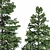 Abies 2014 Trees Model Scene 3D model small image 3