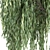 Cascade Willow Trees Pack 3D model small image 2