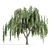 Cascade Willow Trees Pack 3D model small image 5