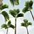 Exquisite Areca Catechu Palm Ensemble 3D model small image 2