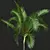 Exquisite Areca Catechu Palm Tree 3D model small image 4