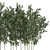 Unique product title: Bamboo Groves for Outdoor and Interior 3D model small image 2