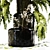 Sophisticated Indoor Plant Model 3D model small image 2