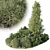 Tropical Topiary and Plants Set 3D model small image 1