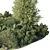 Tropical Topiary and Plants Set 3D model small image 4