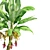 Banana Tree Cluster 3D Model 3D model small image 3