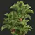 Exquisite Cyrtostachys Renda Palm Model 3D model small image 1