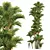Exquisite Cyrtostachys Renda Palm Model 3D model small image 5